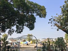 -长洲岛都市农业公园