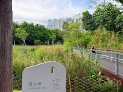 -福田红树林生态公园