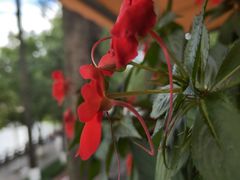 -翠湖里(翠湖南路店)