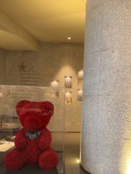 -VELEE·SPA高定疗愈会所