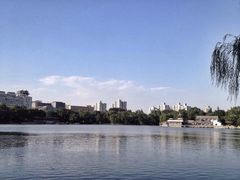 紫竹院公园-紫竹院公园冰场
