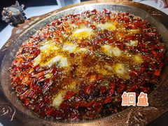 蜀龙阁水煮鱼-雲蜀龙阁·金牌水煮鱼(方庄店)