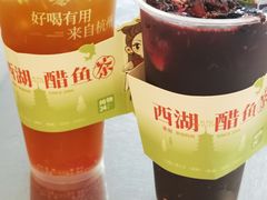-炖物24章·顺时轻养茶(黄龙店)