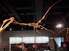 -墨尔本博物馆(Melbourne Museum)