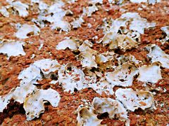 -青岛第三海水浴场