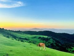 -大姆山草场