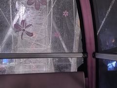 -琴岛之星摩天轮