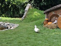 -HERRE·FARM 赫尔露营农场·团建聚会包场