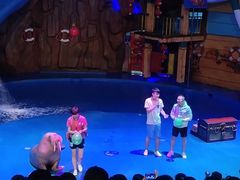 -烟台海昌鲸鲨海洋公园