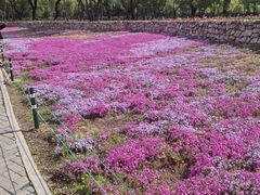 -北陵公园