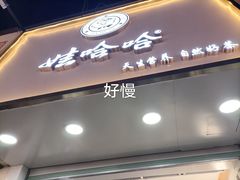 门面-娃哈哈·奶茶(武林店)