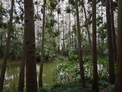 -上海长兴岛郊野公园