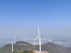 -盐洲岛