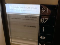 -The lounge 柏悦酒店大堂酒廊(上海环球金融中心店)