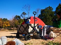 -上海海湾国家森林公园