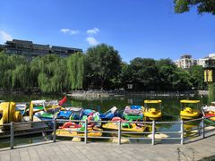 -莲湖公园
