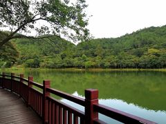 -广州白江湖森林公园