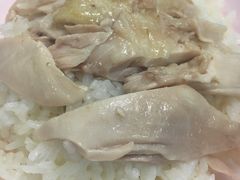 -鸡饭店