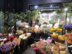 -豆豆花艺(新光天地店)