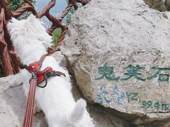 -北京西山国家森林公园