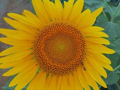 -汉长安城未央宫国家考古遗址公园