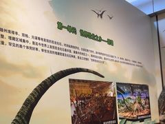 -北京周口店北京人遗址博物馆