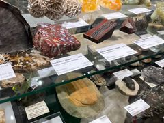 -墨尔本博物馆(Melbourne Museum)