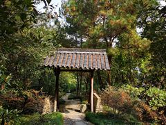 -梦姑塘文化公园