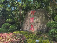 -野狸岛