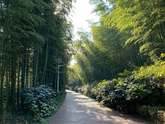 -石塘人家