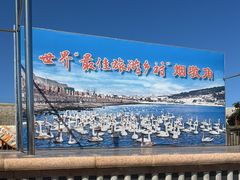 -烟墩角天鹅湖