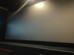 -深影国际影城(学院南路店CGS中国巨幕店)