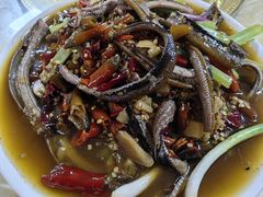 -春涛餐馆(下坝店)