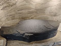 -白鹤梁水下博物馆