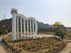 -密云玫瑰情园
