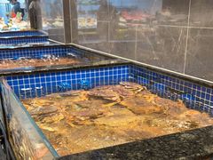 -东海怡品海鲜豆捞(星街坊店)