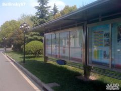 -上海市民办金苹果学校