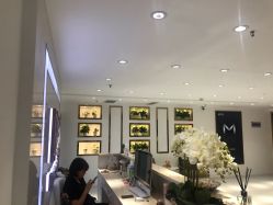 -MIVI野生眉纹绣纹眉