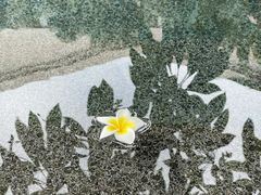-厦门日月谷温泉渡假村
