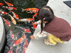 -三溪村