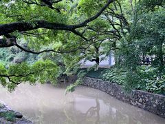 -江心屿景区