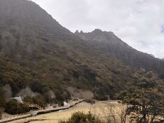 -稻城亚丁景区-冲古草甸