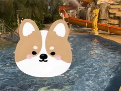 -中家鑫园温泉酒店鑫悦汤泉