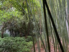 -中国黄酒博物馆