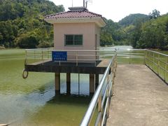 -中山市树木园