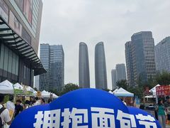 -合景·悠方(成都店)