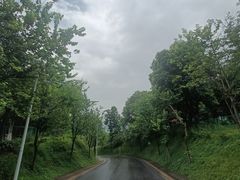 -火炉山森林公园