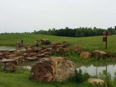 -合肥滨湖国家森林公园