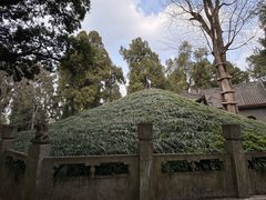 -武侯墓风景区