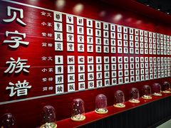 -青岛贝壳博物馆